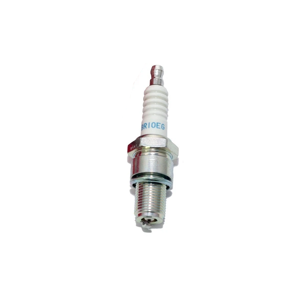BR10 EG Spark Plug